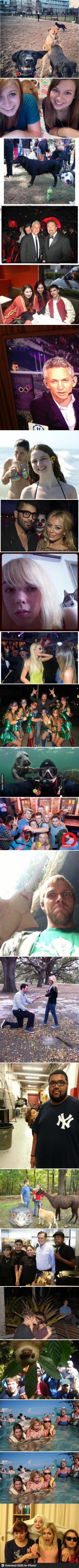 Best Photobombs of 2012